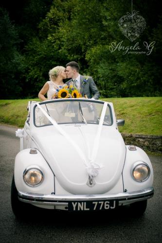 Beetle