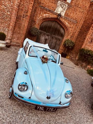 nice beetle
